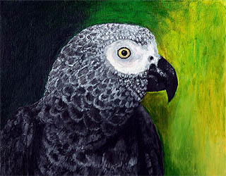 Fine Art Pet Portrait by Artist Donna Aldrich-Fontaine - African Gray Parrot.jpg